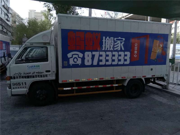 蚂蚁搬家风采