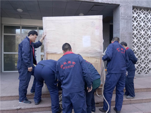 蚂蚁搬家风采
